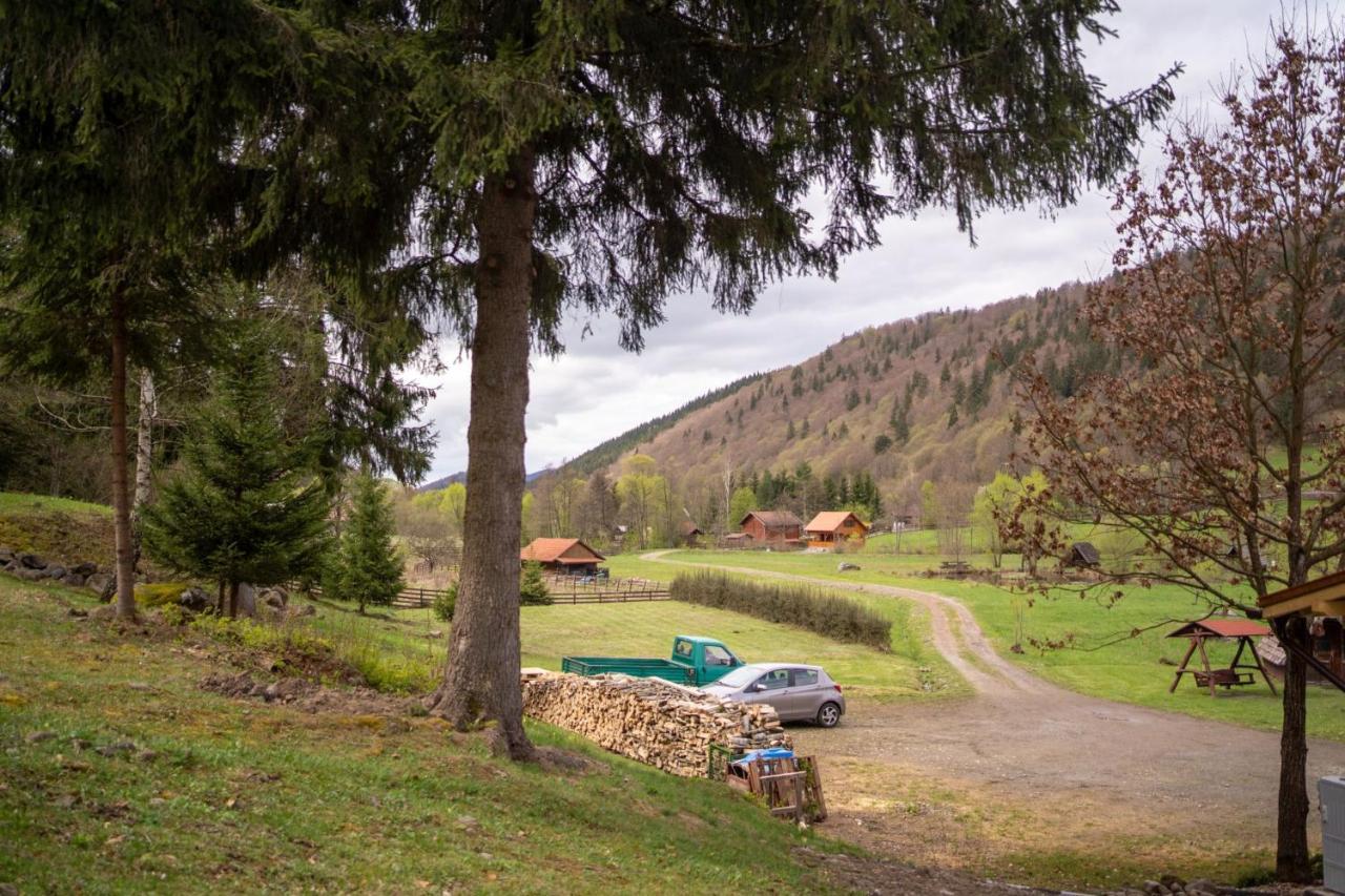 3A Guest House Sicasău Exteriör bild