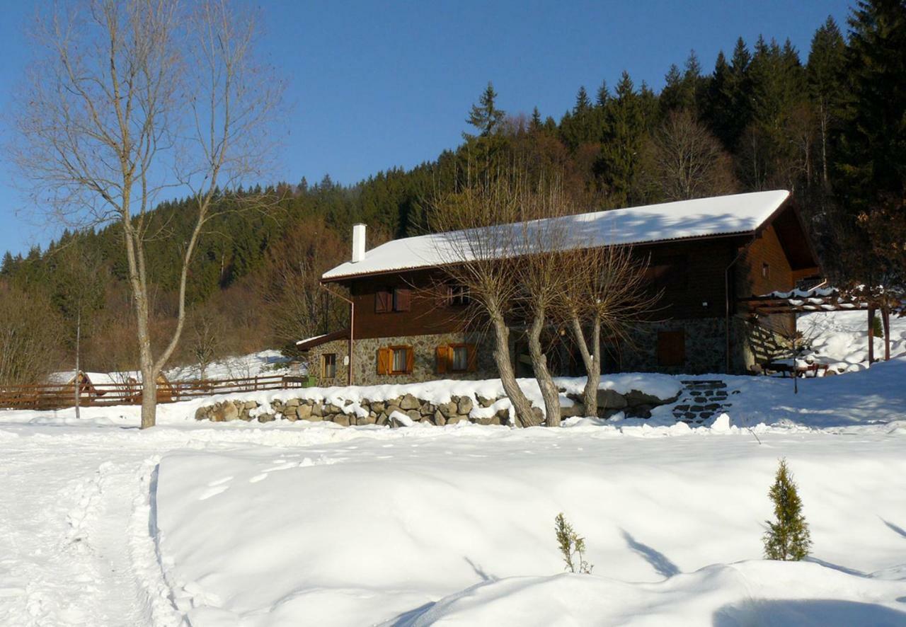 3A Guest House Sicasău Exteriör bild